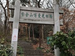 -紫金山山顶公园