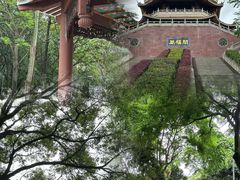 -福神岗公园