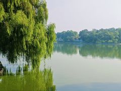 -北陵公园