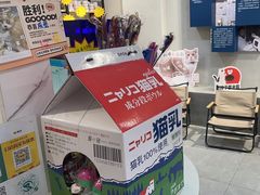 -伟伟宠物医院·CT影像中心·瑞派犬猫综合性门诊(汉口总院)