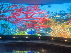 -唐宫足道·SPA·住宿24H会所(木渎店)