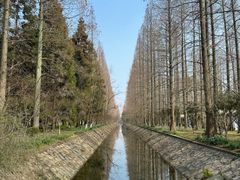 -东平国家森林公园