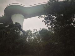 -飞凤山奥体公园