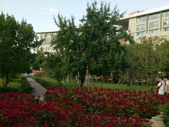 -吉林大学(南岭校区)