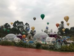 -黄龙溪欢乐田园