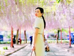 -嘉定紫藤园