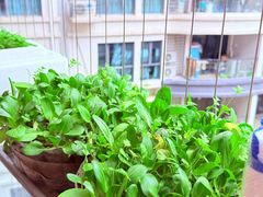 -碧桂园十里银滩