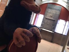 -九又四分之三站台哈利波特商店