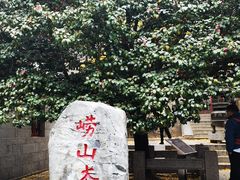 -青岛崂山太清宫