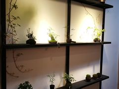 -植觉