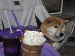 -HANA COFFEE(长寿路店)