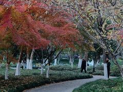 -杭州城北体育公园