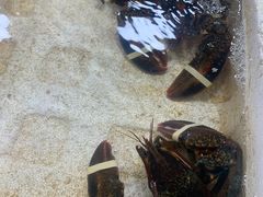 -霞涌市场海鲜摆卖区