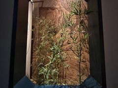 -四川宋瓷博物馆