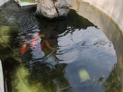 -双新垂钓园