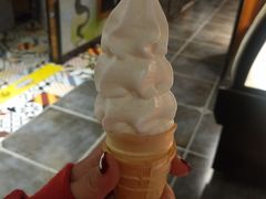-欢乐牧场(T12店)