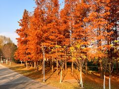 -梁鸿国家湿地公园