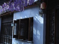 -青果巷历史文化街区