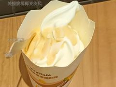 姜撞脆椰椰麦旋风-麦当劳(文武路店)