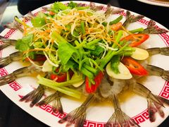 -中国城银都鱼翅酒楼