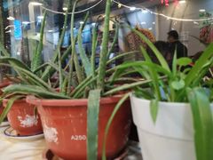 -伊隆斋(什刹海店)