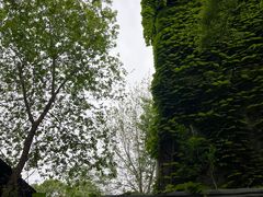 -北京饭店