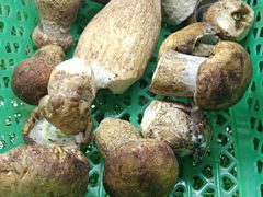 -野菌园·野生菌火锅首创第一家(关兴路总店)