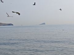 -青岛银沙滩