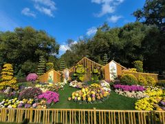 -上海共青森林公园