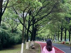 -艾溪湖湿地公园