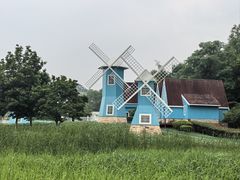 -宜兴龙背山森林公园