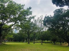 -深圳仙湖植物园-停车场