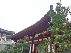 -西安华清御汤酒店