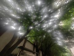 -龙湖重庆时代天街