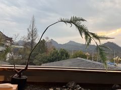 -宴武夷·匠心闽味(印象大红袍店)