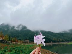 -小芝红树林
