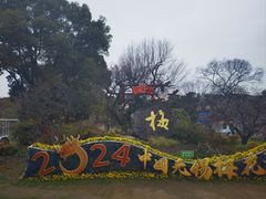 -无锡梅园公园