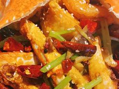 -胡桃里音乐酒馆(石家庄店)