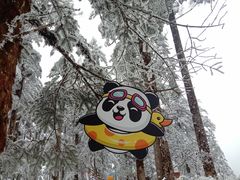 -瓦屋山景区
