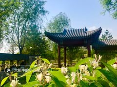 -张家湾公园