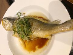 -顺德美的万豪酒店·自助餐·贡厨