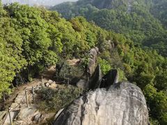 -铁山坪森林公园