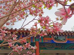 -丰台花园