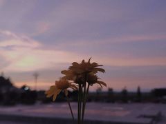 -静之湖湖畔餐厅