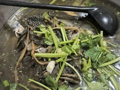 -风鑫铃罗非鱼(道沟店)