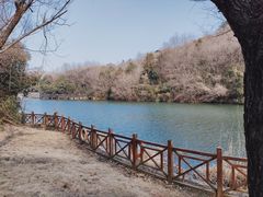 -白马涧龙池景区