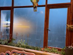 -四姑娘山阿巴郎·藏式花园餐厅