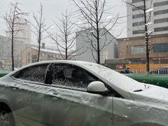 -杨记小骨头羊杂馆(南五马路店)