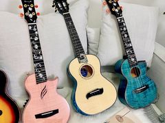 -大象音乐·吉他·架子鼓·声乐(双井店)