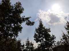 -四川大学(华西校区)